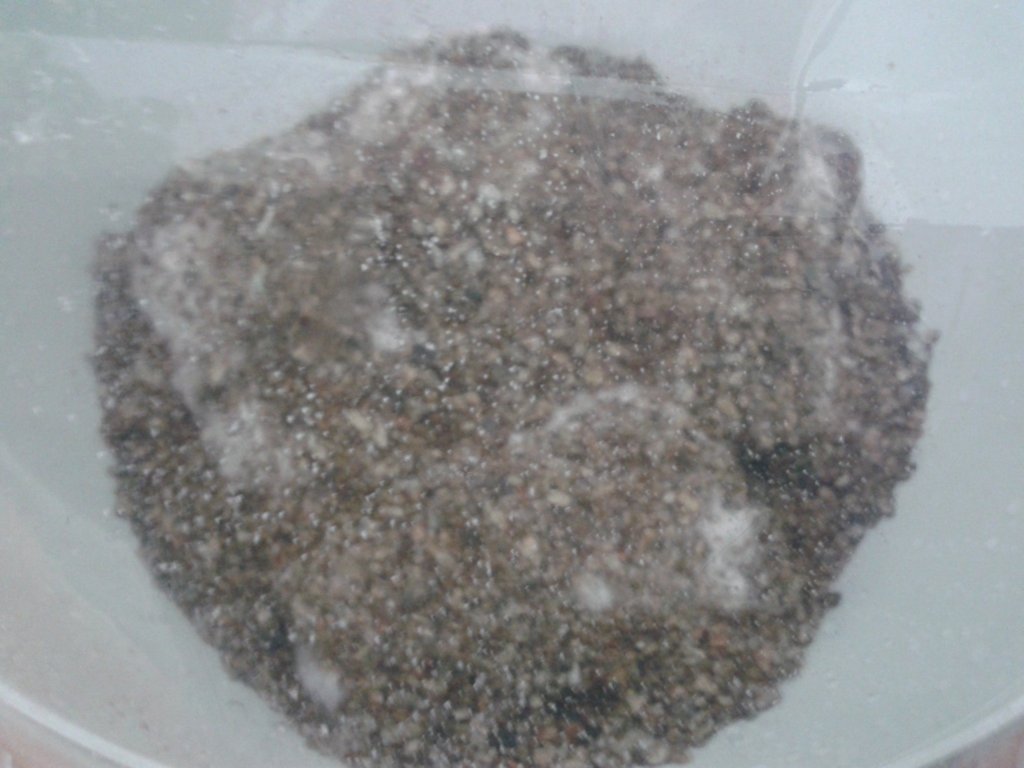 2013-08-17 17.25.47.jpg