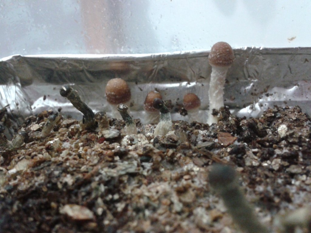 2013-08-17 17.30.34.jpg