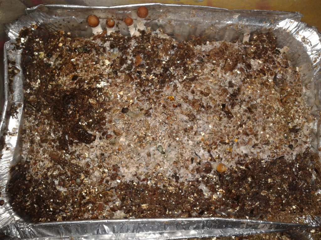 2013-08-17 17.32.01.jpg