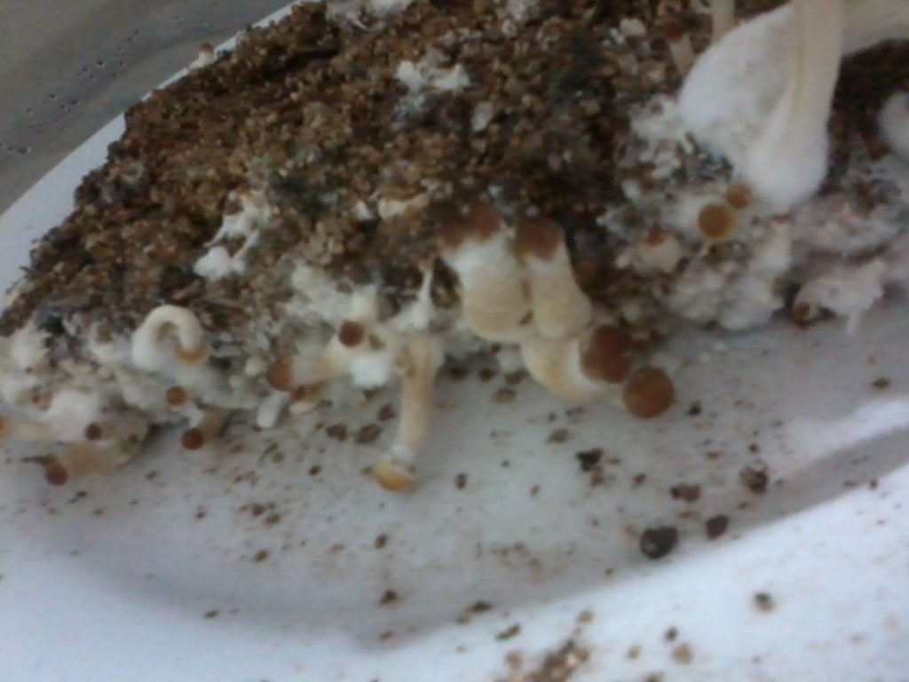 2013-08-18 01.14.44.jpg