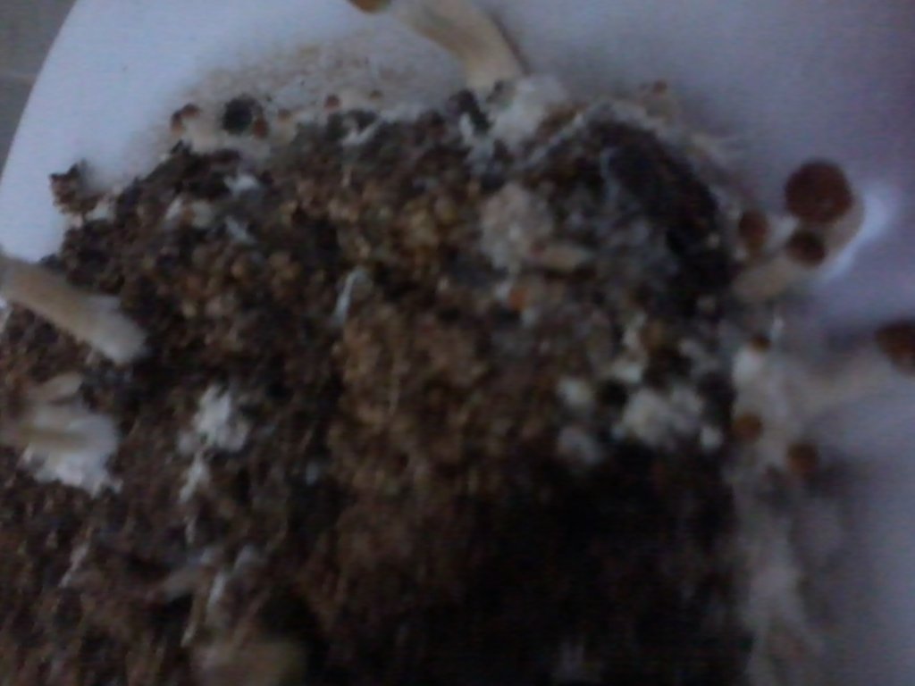 2013-08-18 01.15.00.jpg