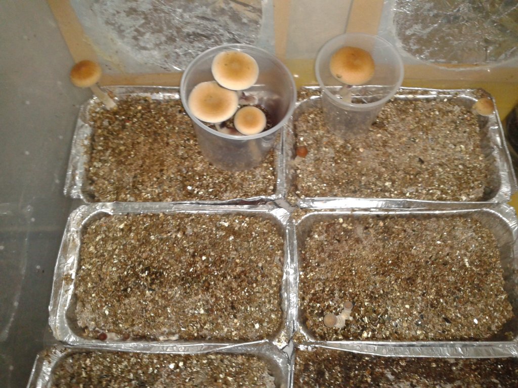 2013-08-18 08.57.56.jpg