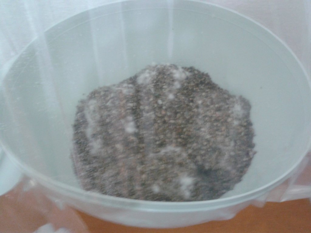 2013-08-19 08.48.33.jpg