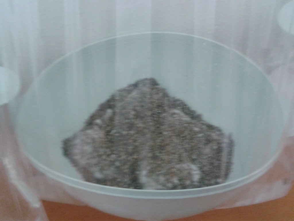 2013-08-19 08.48.59.jpg