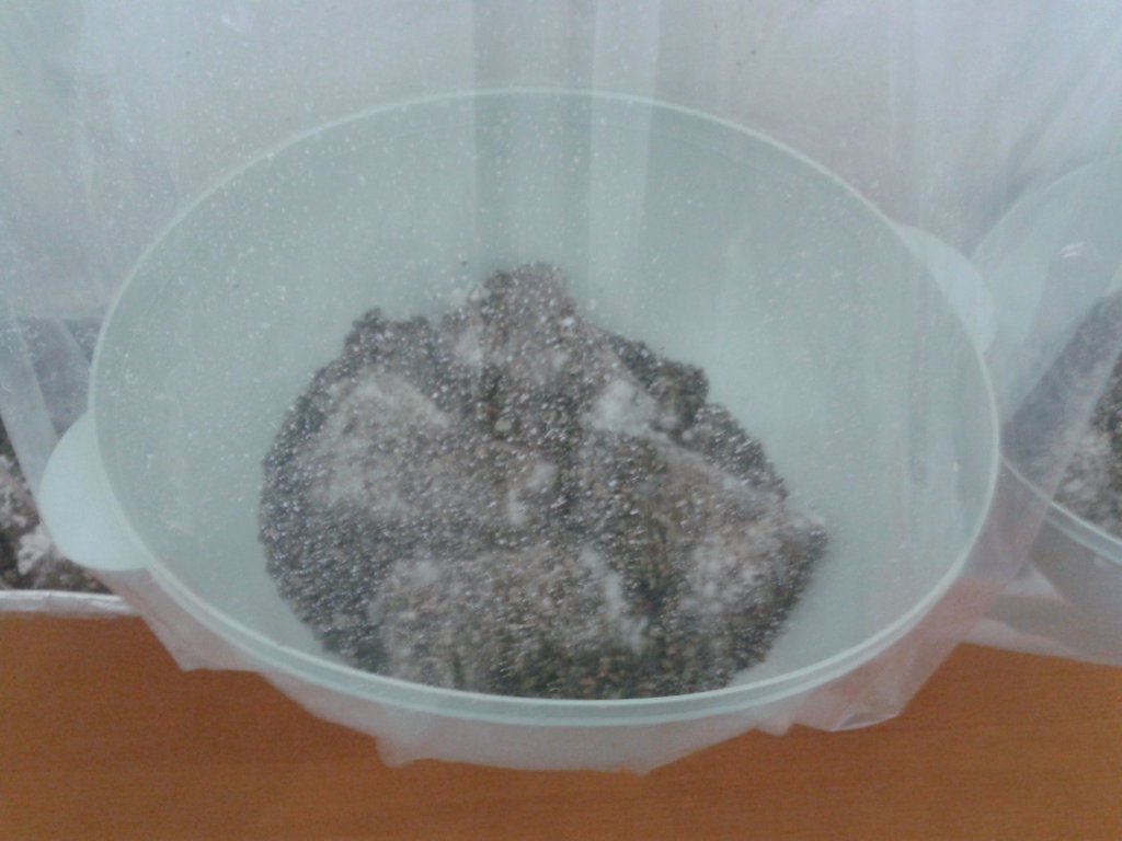 2013-08-19 08.49.14.jpg