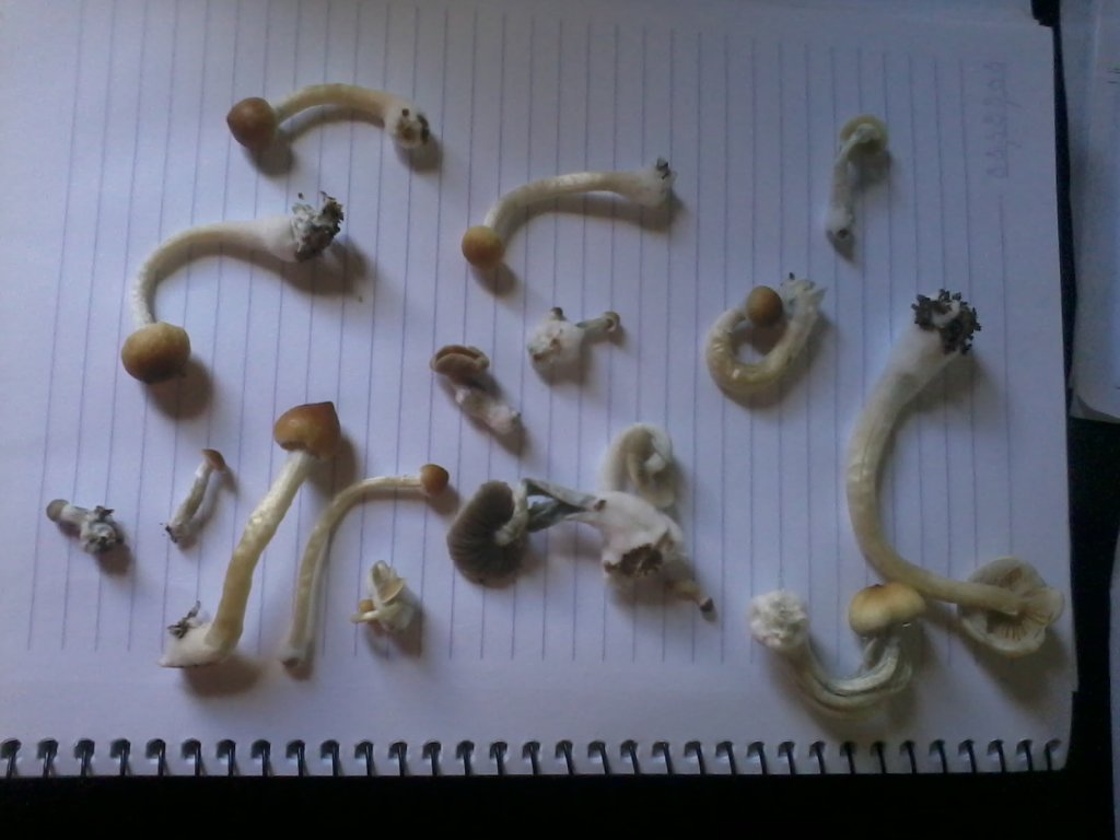 2013-08-19 15.31.39.jpg