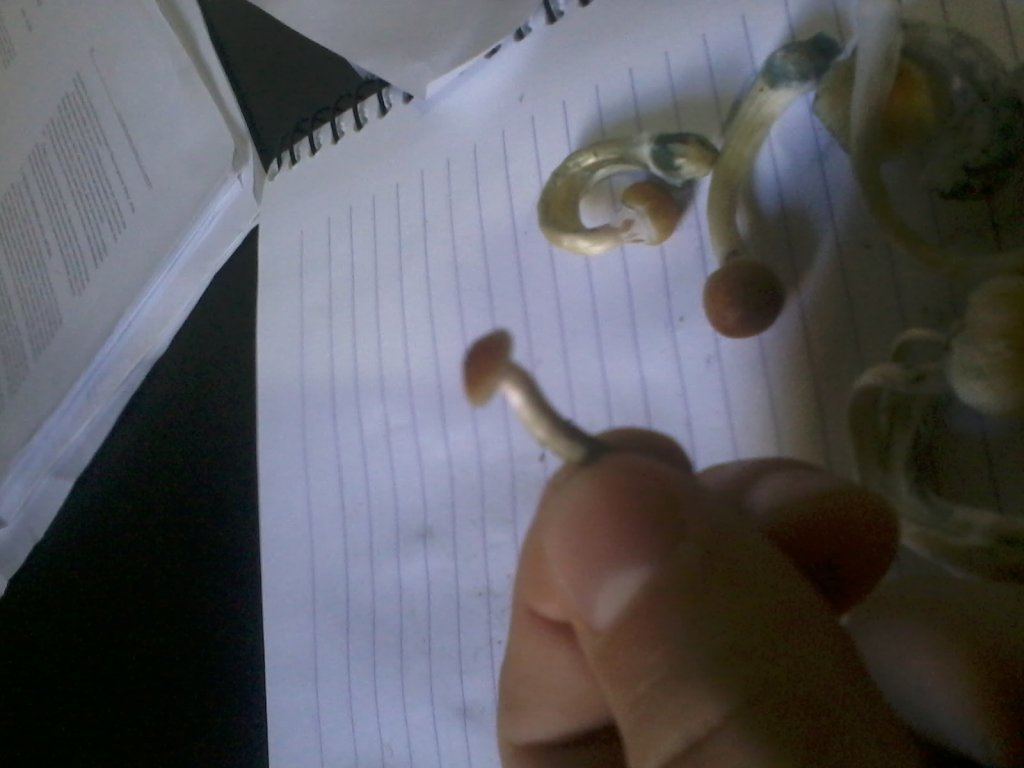 2013-08-19 15.41.10.jpg