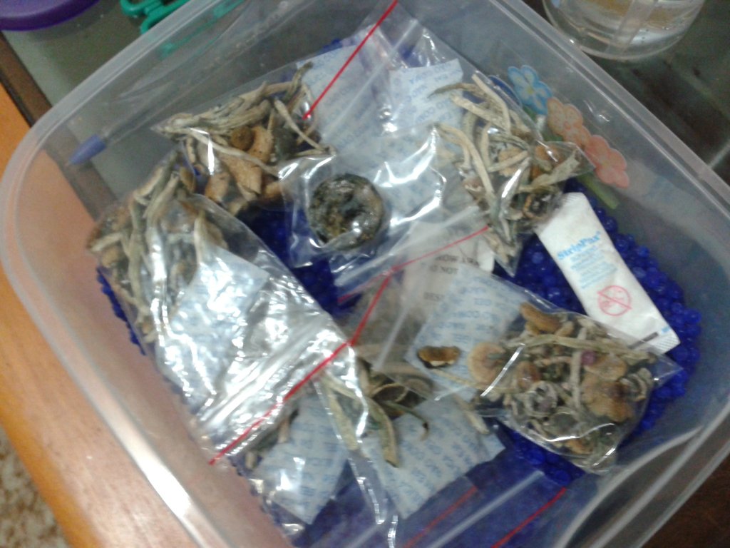 2013-08-19 17.12.02.jpg