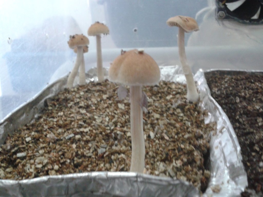 2013-08-20 09.37.01.jpg