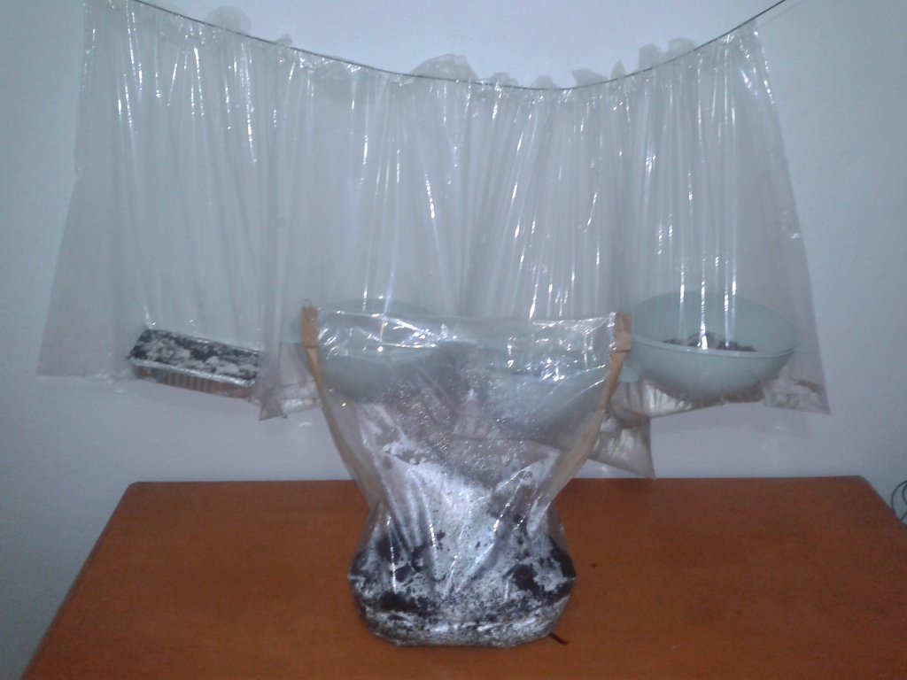 2013-08-21 08.52.24.jpg