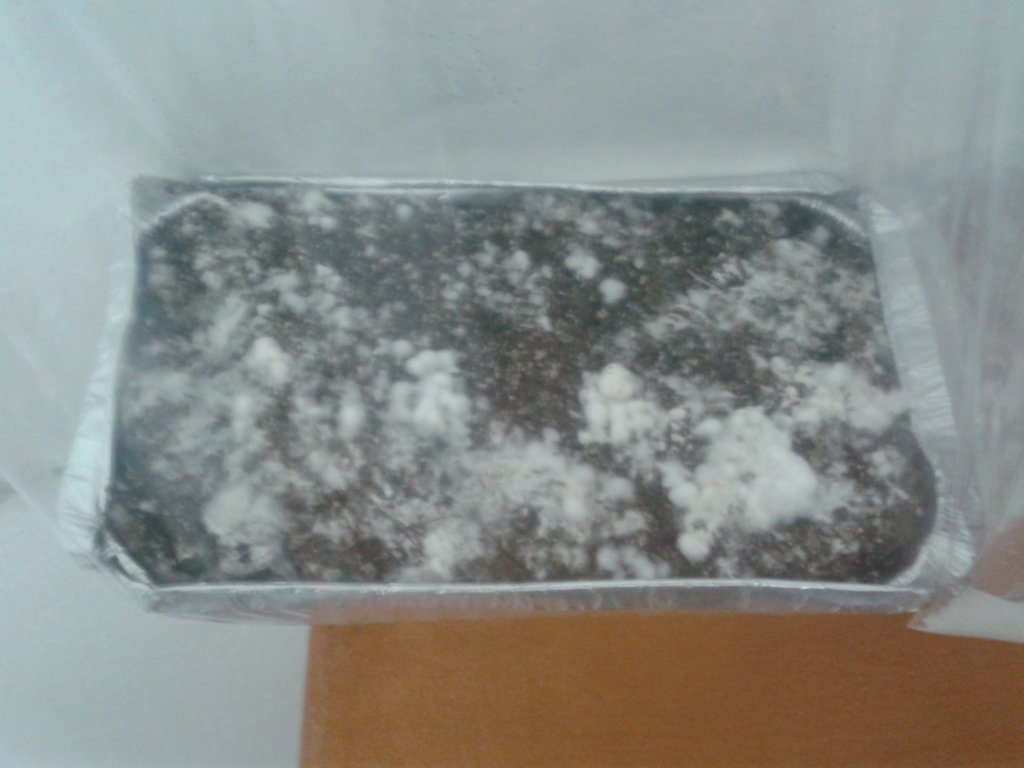 2013-08-21 08.52.57.jpg