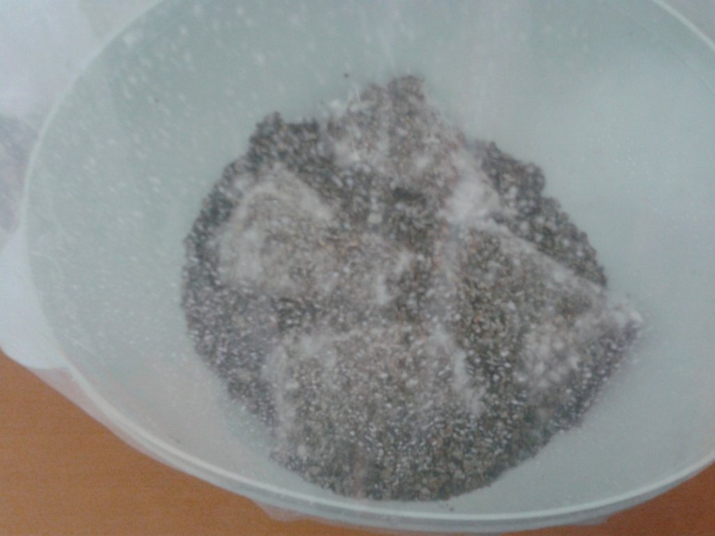 2013-08-21 08.53.29.jpg