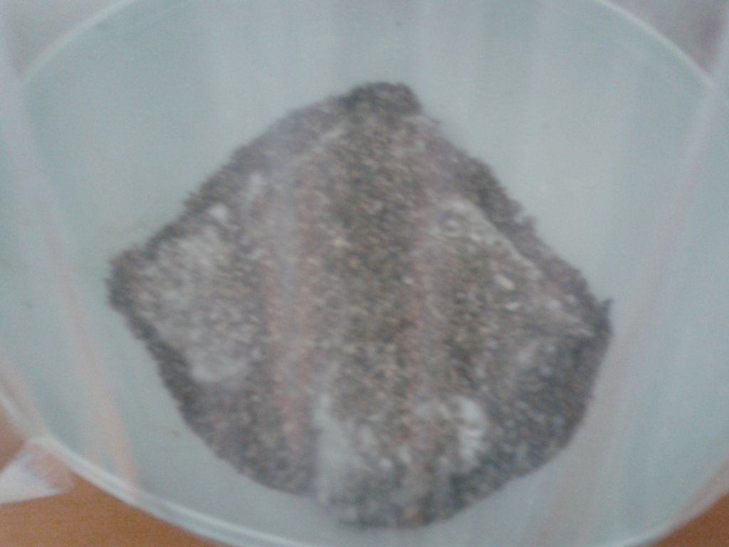 2013-08-21 08.53.44.jpg