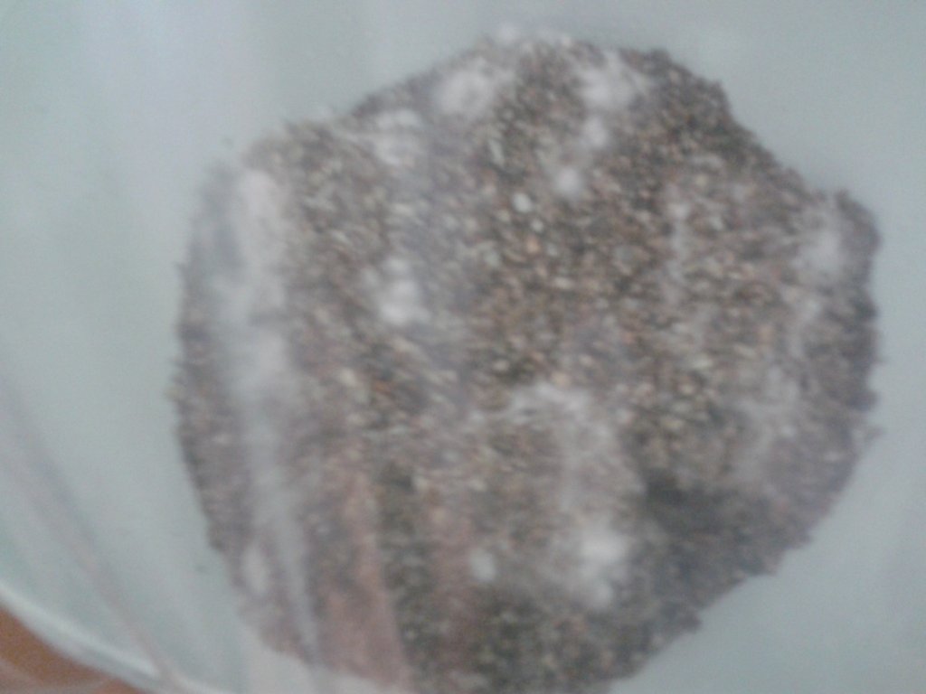 2013-08-21 08.53.54.jpg