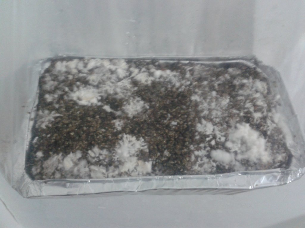 2013-08-21 08.54.10.jpg