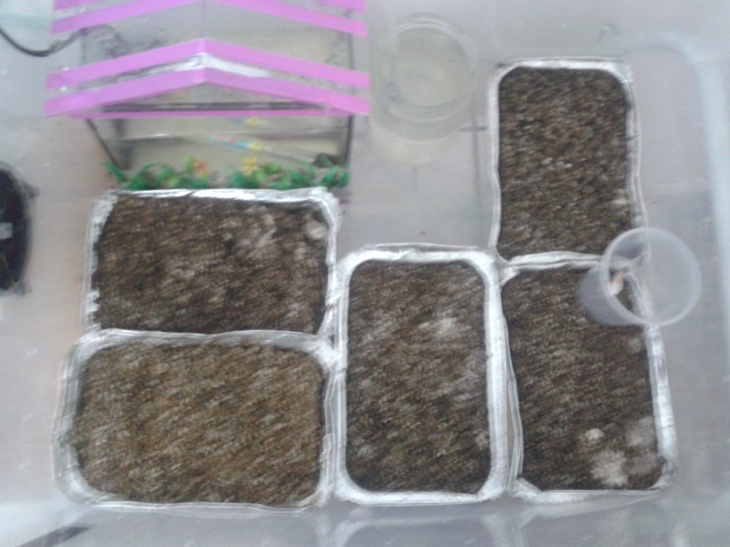 2013-08-21 08.57.34.jpg