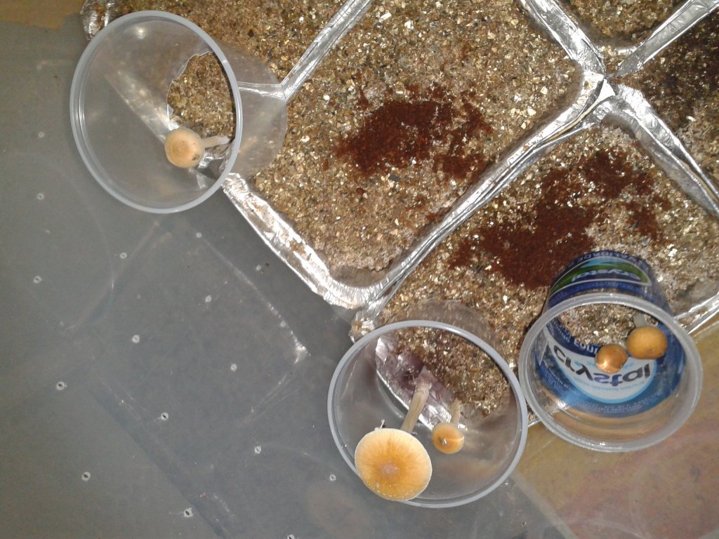 2013-08-21 19.04.50.jpg