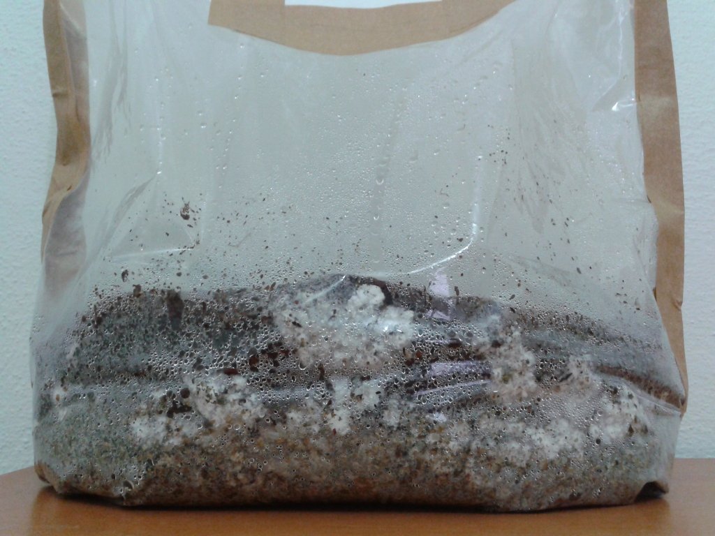 2013-08-22 11.45.12.jpg