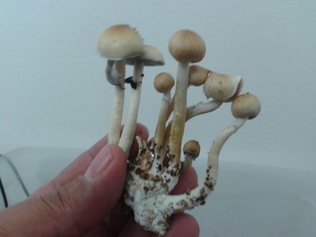 2013-08-27 12.03.58.jpg