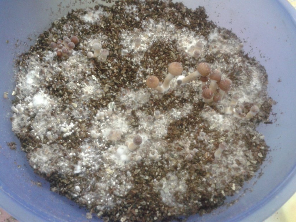 2013-09-18 09.36.46.jpg