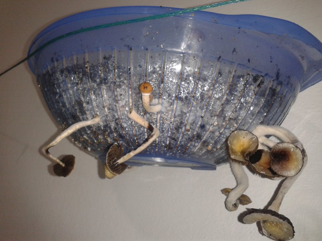 2013-09-23 19.59.36.jpg