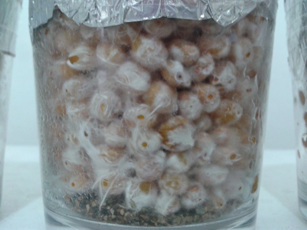 2013-09-25 14.02.31.jpg