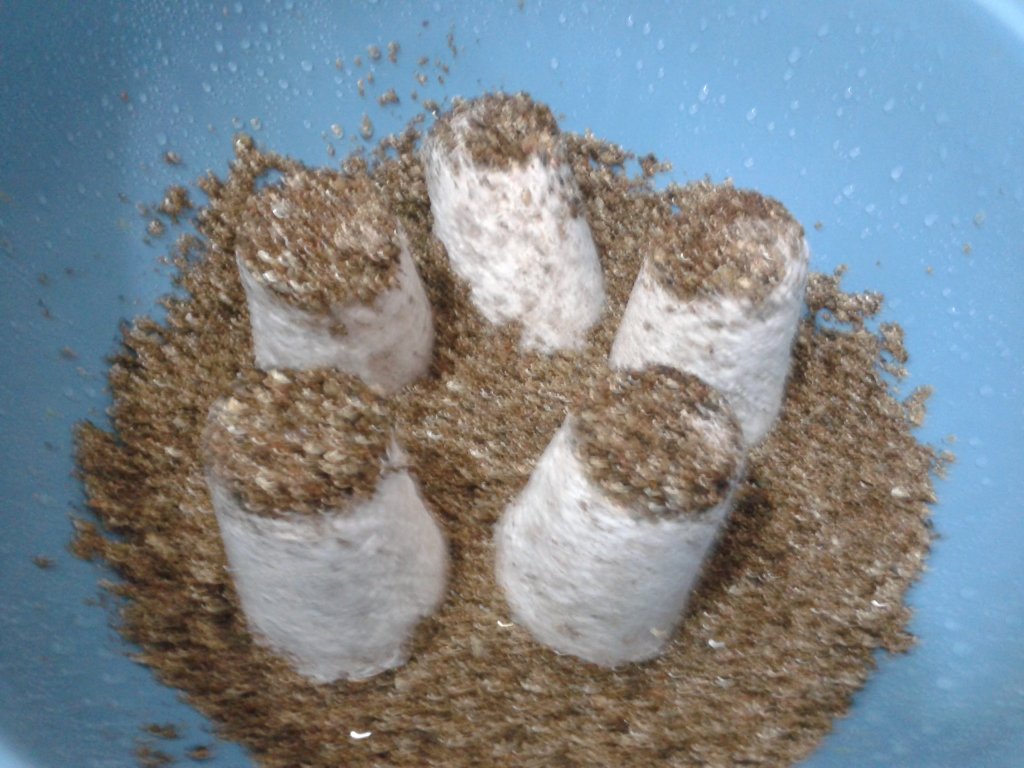 2013-09-25 15.06.00.jpg