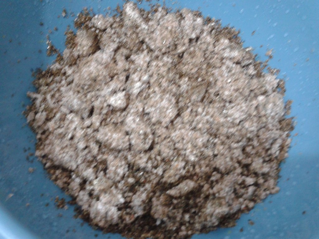 2013-09-25 15.08.02.jpg