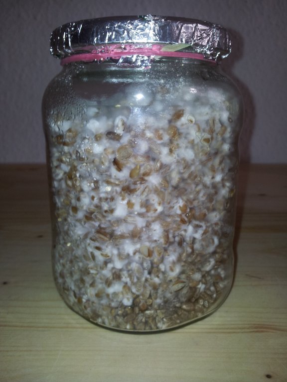 2013-10-27 15.09.59.jpg