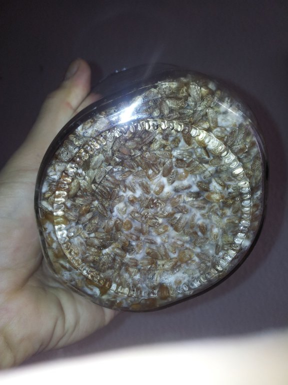 2013-10-27 15.10.08.jpg