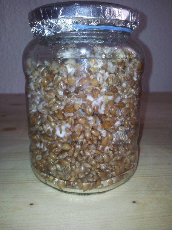 2013-10-27 15.10.17.jpg