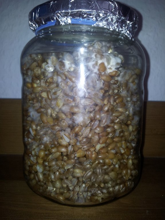 2013-10-30 12.14.35.jpg