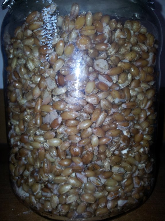 2013-10-30 12.15.41.jpg