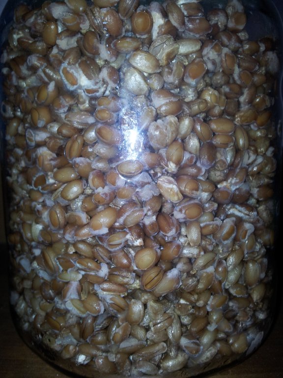 2013-10-30 12.15.51.jpg