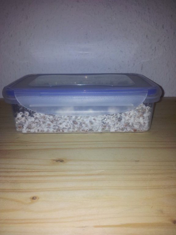 2013-11-07 22.17.27.jpg