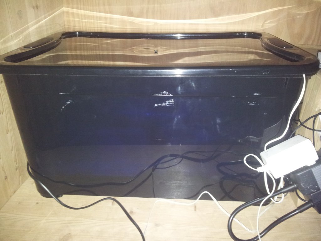 2013-11-11 01.55.50.jpg