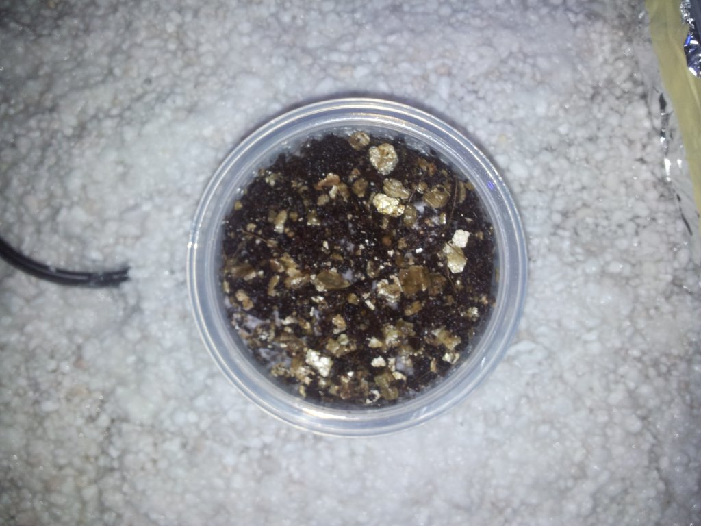 2013-11-11 14.50.22.jpg