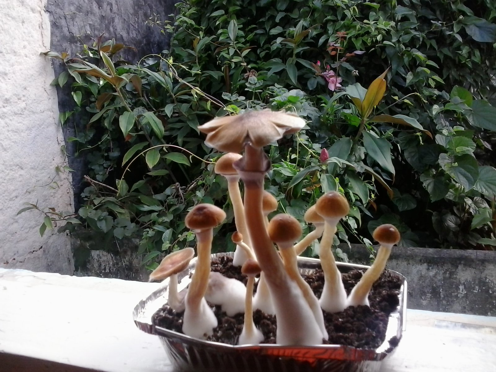 2013-11-13 08.18.48.jpg