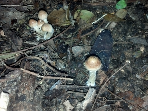 2013-11-15 16.41.19.jpg