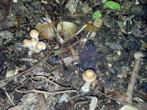 2013-11-15 16.42.37.jpg