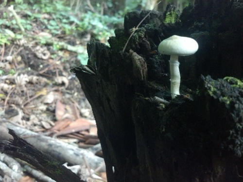 2013-11-15 16.43.54.jpg