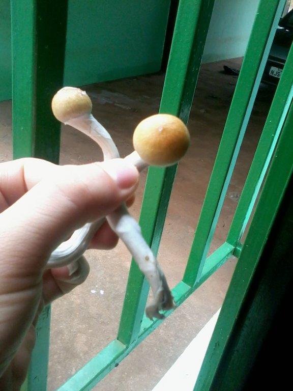 2013-12-17 11.49.00.jpg