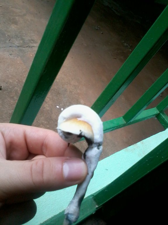 2013-12-17 11.49.30.jpg