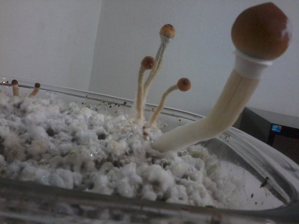 2013-12-21 12.29.48.jpg