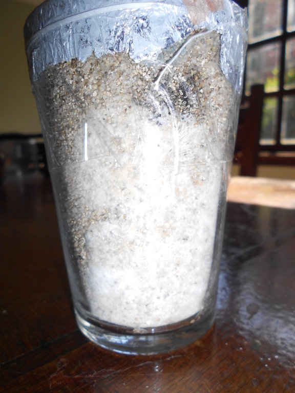 2014-01-28 08.42.34.jpg