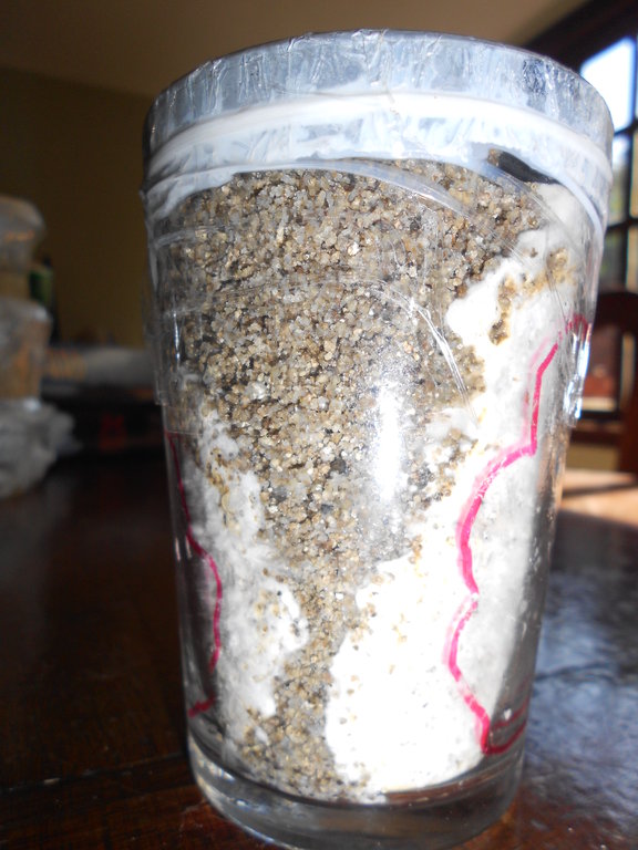 2014-01-28 08.43.14.jpg