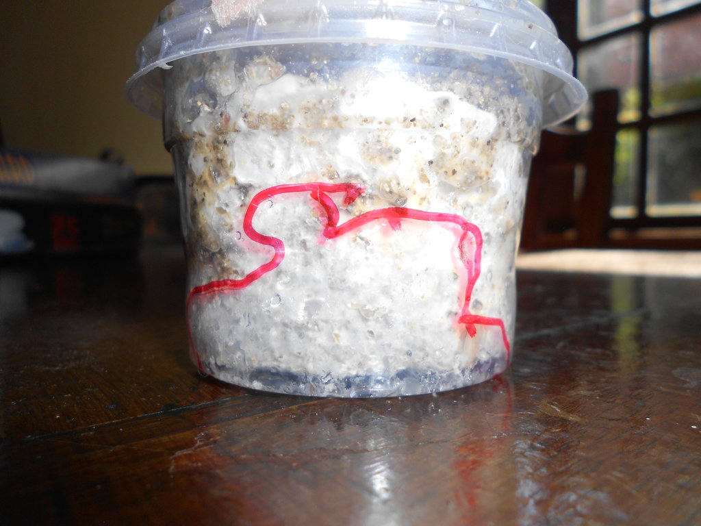 2014-01-28 08.43.27.jpg