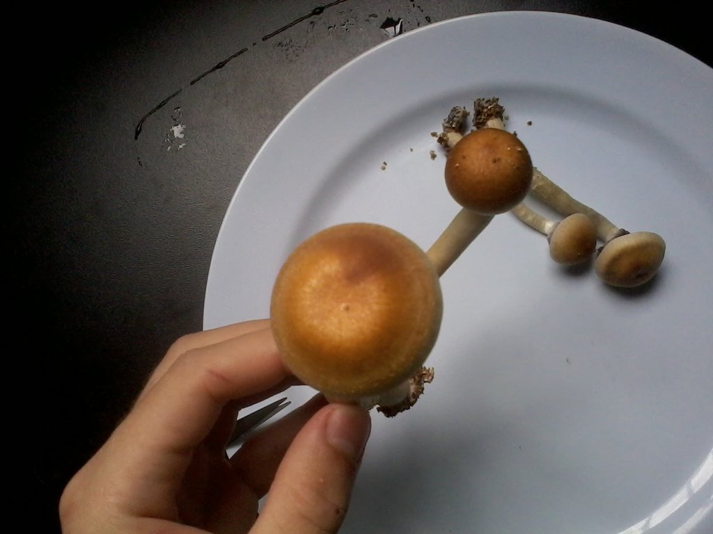 2014-01-28 17.55.02.jpg