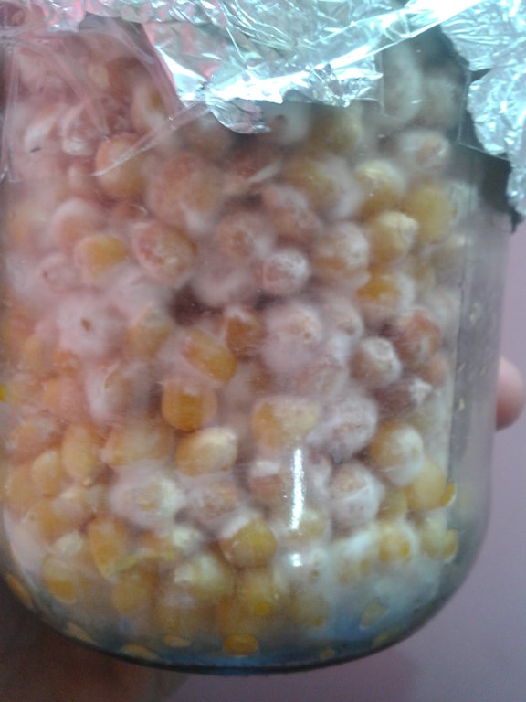 2014-02-03 12.38.15.jpg