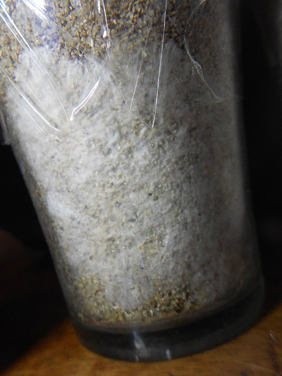 2014-02-03 19.18.22.jpg